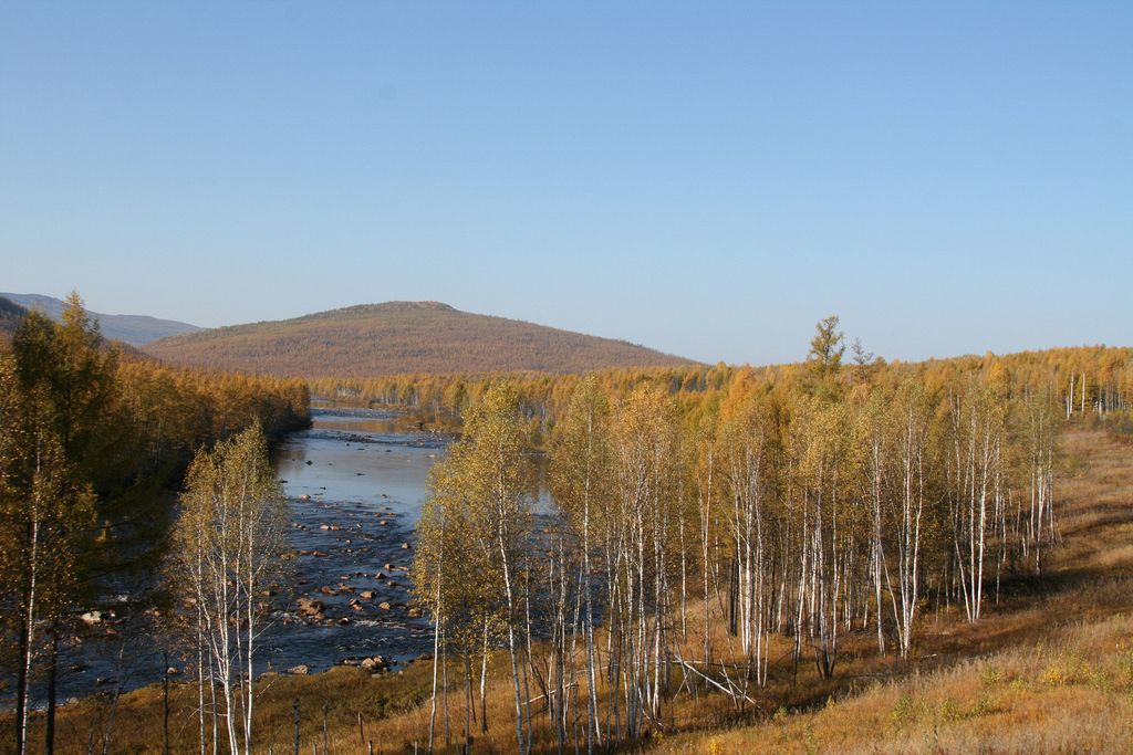 Alonka (Алонка)